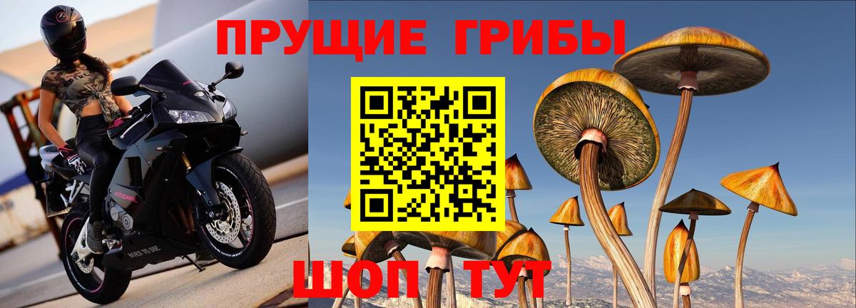 Алейск  Галлюциногенные грибы прущие грибы  Вход с VPN 